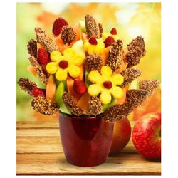 Autumn Crunch