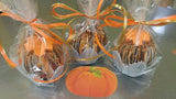 Chocolate Covered Apples